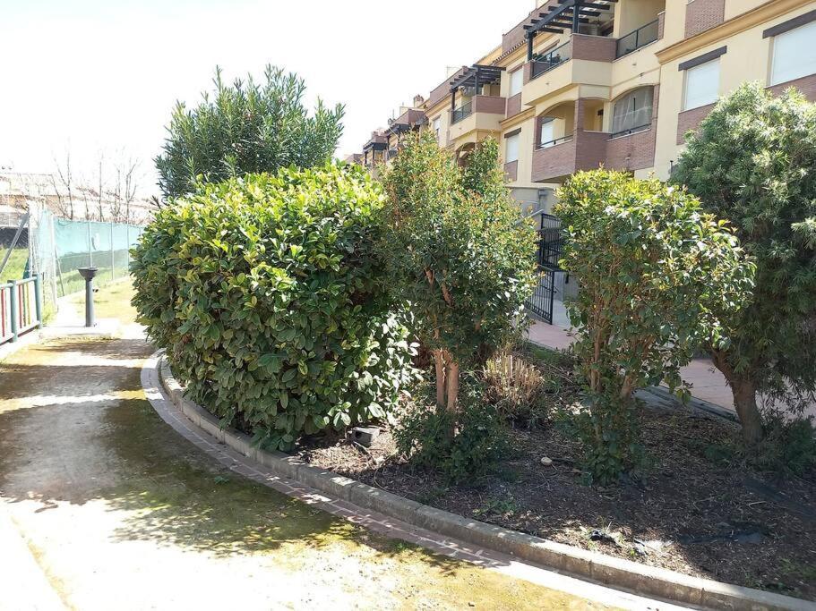 El Nido Del Nomada Lägenhet Atarfe Exteriör bild